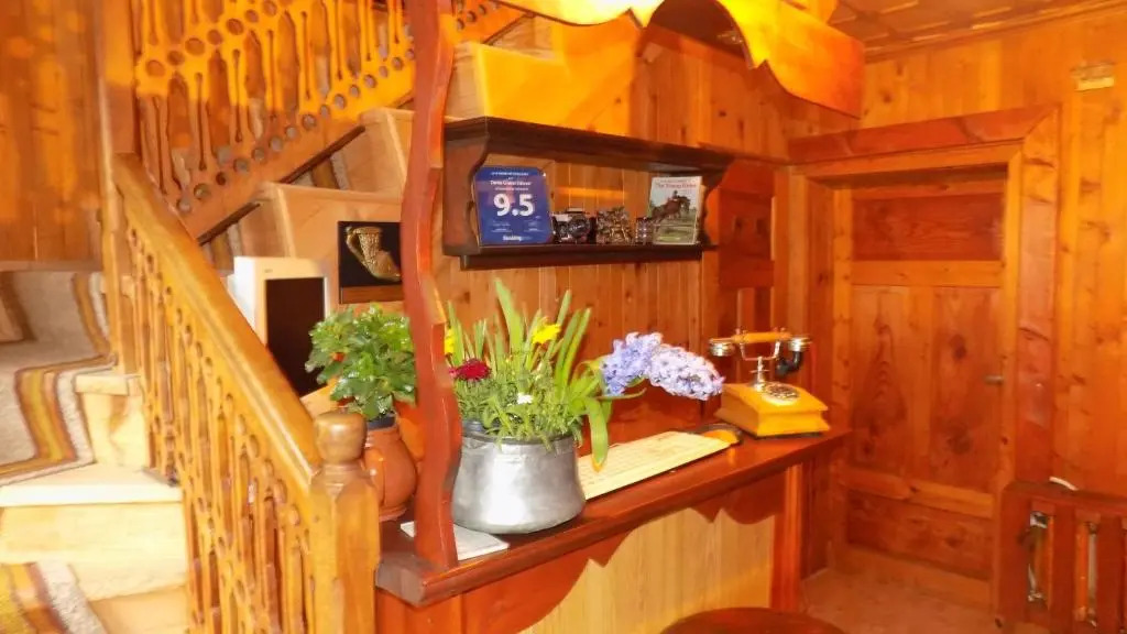 Dona Guest House - Horse Riding