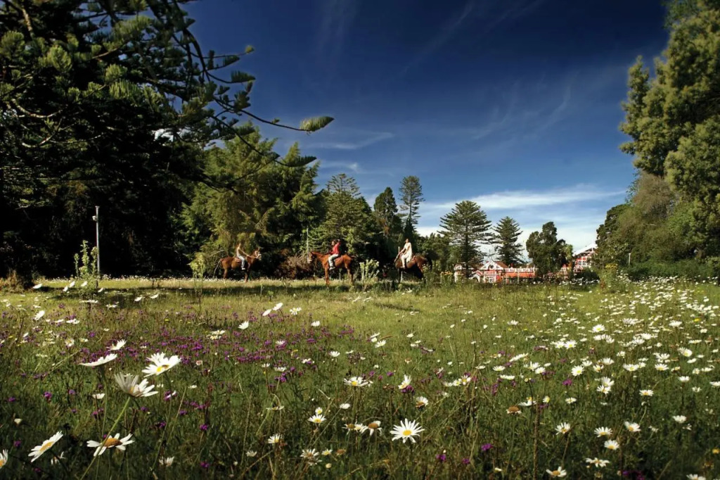 WelcomHeritage Fernhills Royal Palace