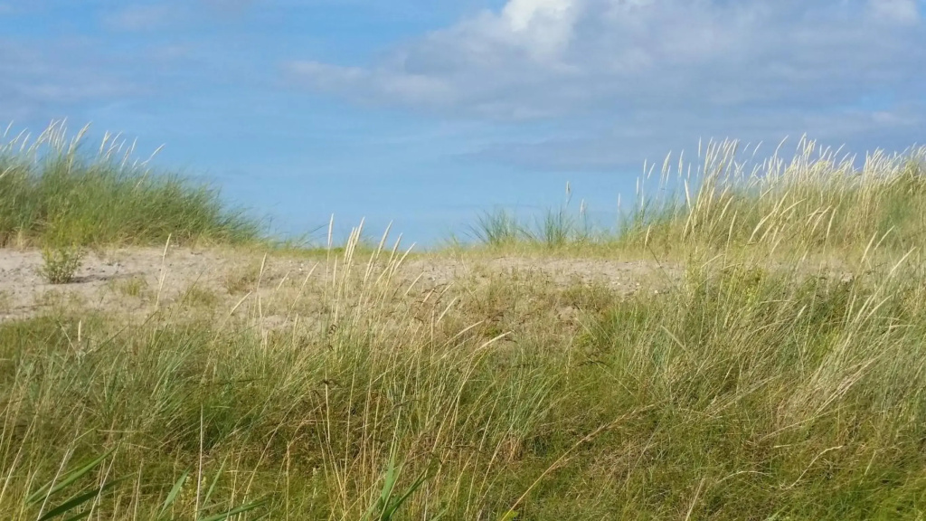 Ferienwohnung Strandgut