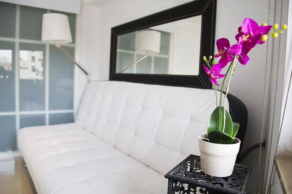 Suncity Loft La Rosaleda
