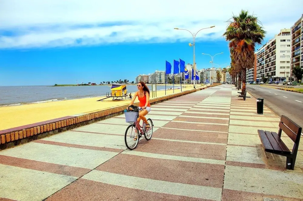 Elegant Apartment - Perfect Location Between the Coast and the City Center