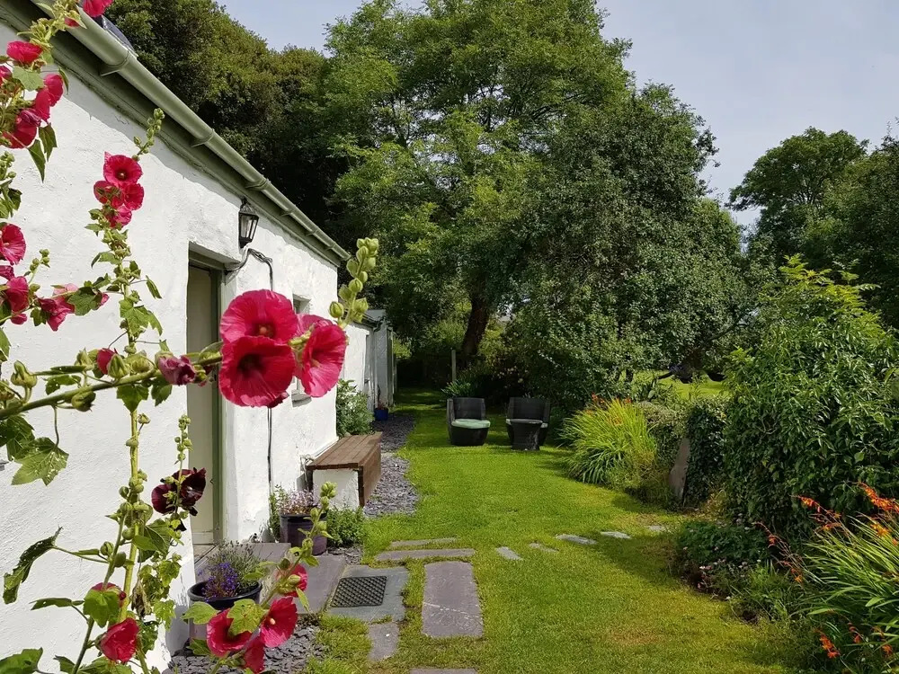 Tyn Llan
