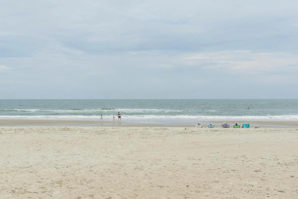 Turtle Soup by Oak Island Accommodations