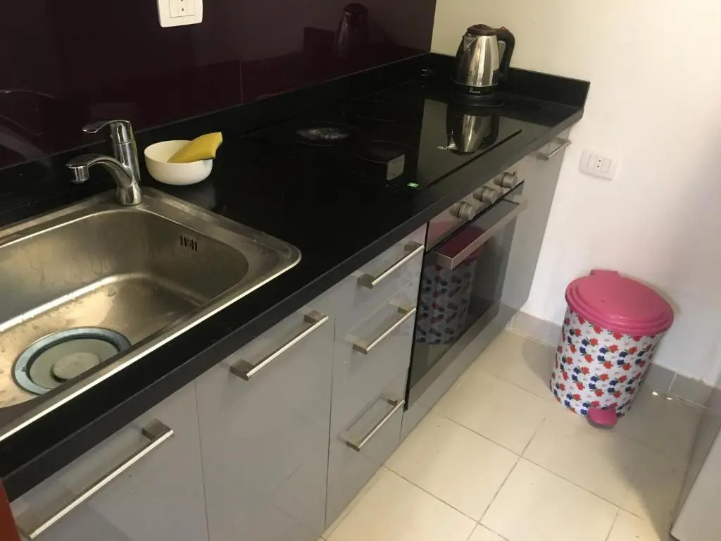 One Bedroom Apt at the View - B104
