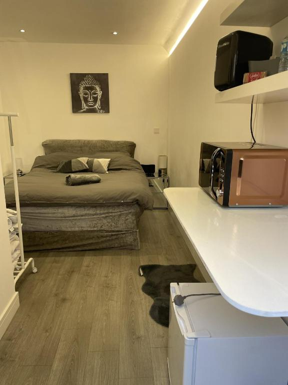 Beautiful 1-bed Studio in Uxbridge, London