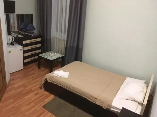 Hotel David