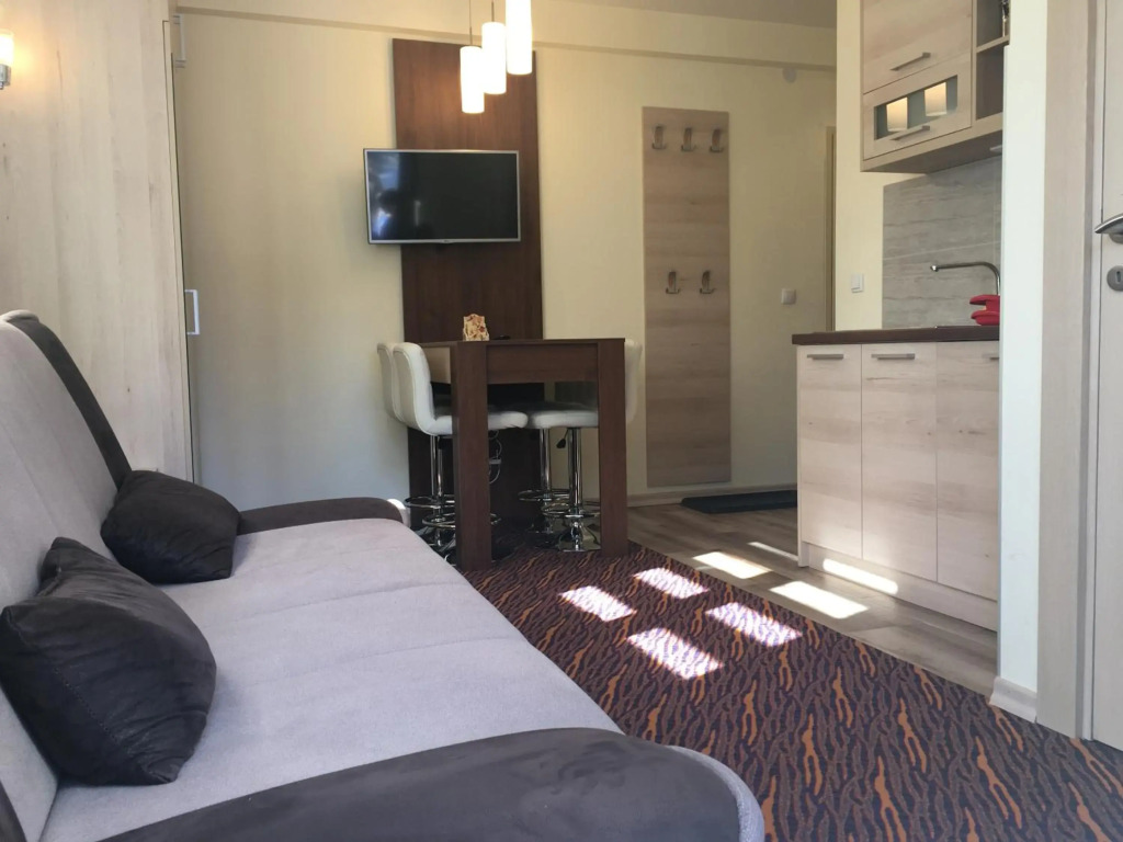 Villa Zvončica, Apartman ViN