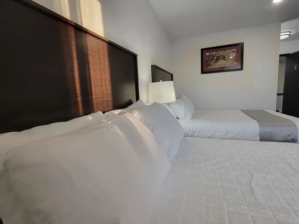 The Suite Inn Minot