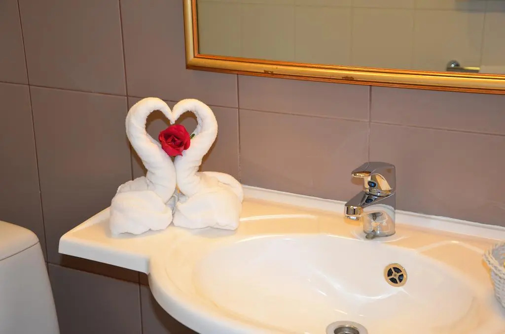Hotel Metsis