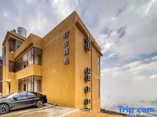 Rice Field Ideal | Blue Terraced Fields Panoramic View Homestay