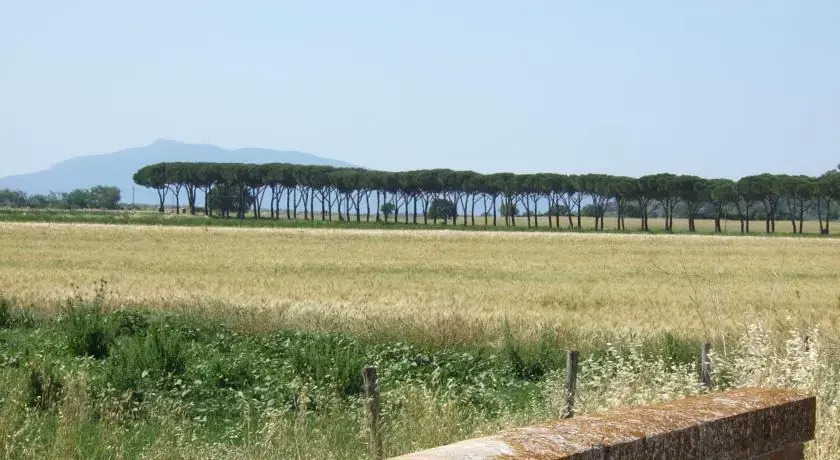 Agriturismo Tattarini