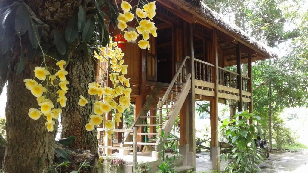 Hung Mech Homestay