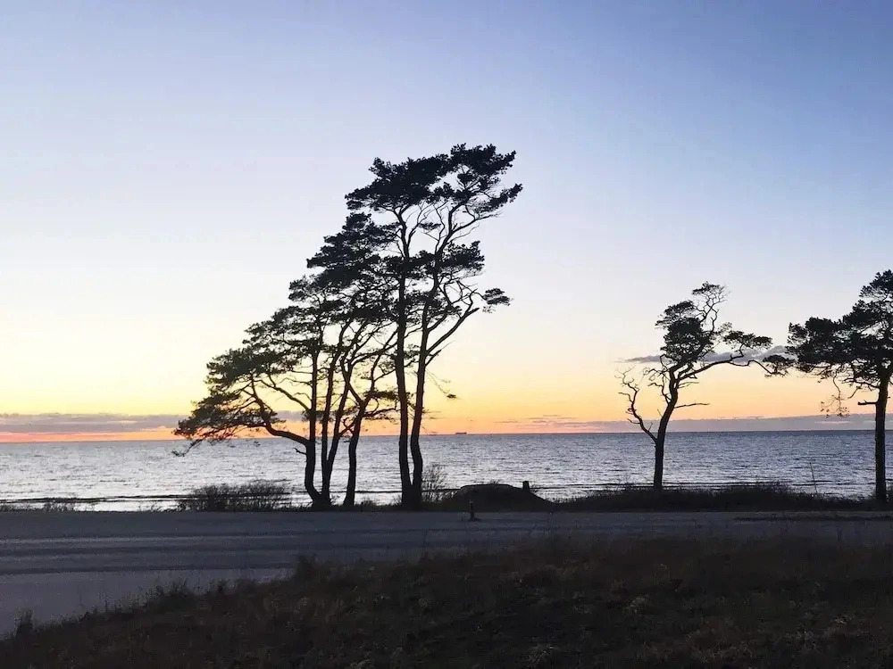 4 Star Holiday Home in Gotlands Tofta