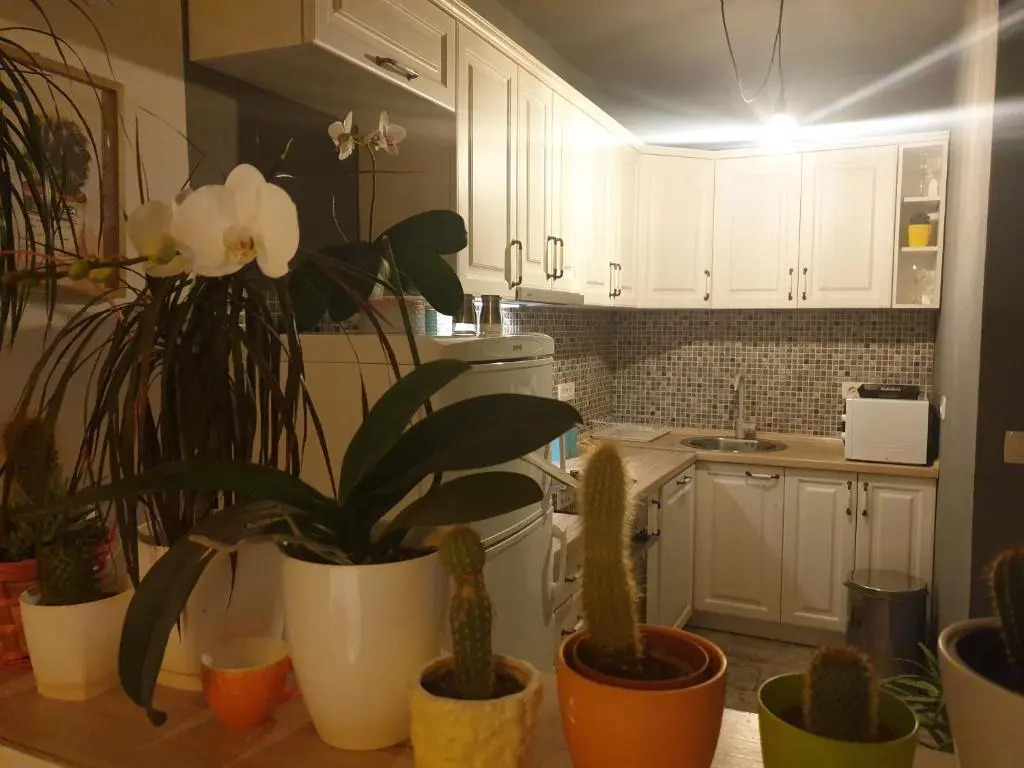 Apartmani Desančić