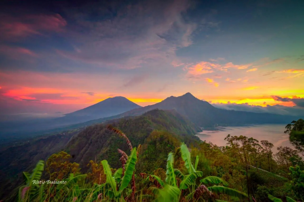 Bali Sunrise Camp & Glamping
