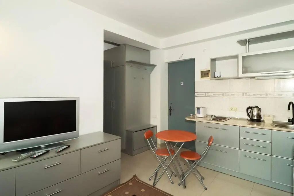 1BR Apartment in Gudauri