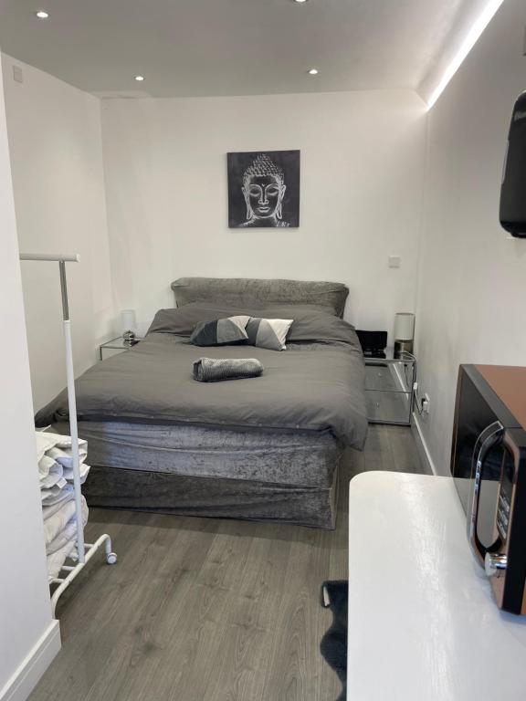 Beautiful 1-bed Studio in Uxbridge, London