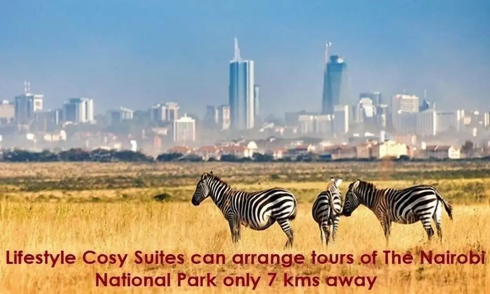 JKIA Airport side apartment