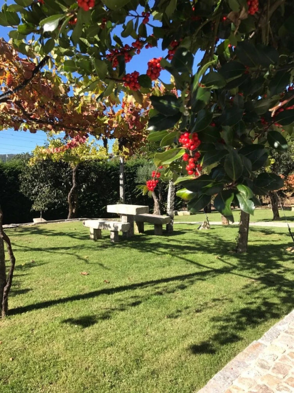 House With 2 Bedrooms in Barcelos, With Pool Access, Enclosed Garden a