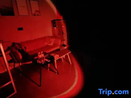 Three Cat Apartment