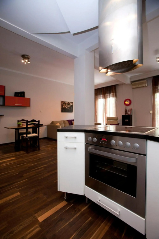 Beautiful Downtown Apartment
