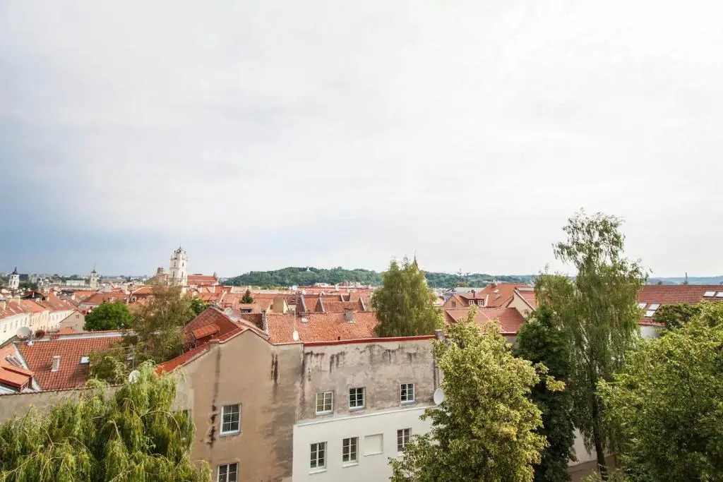 Vokiečių g