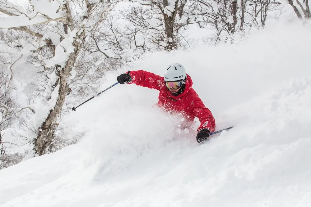 Haven Niseko