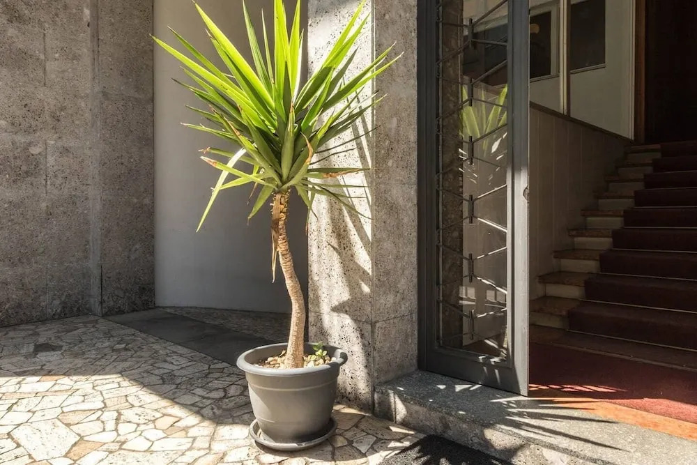 Altido Washington Apartment