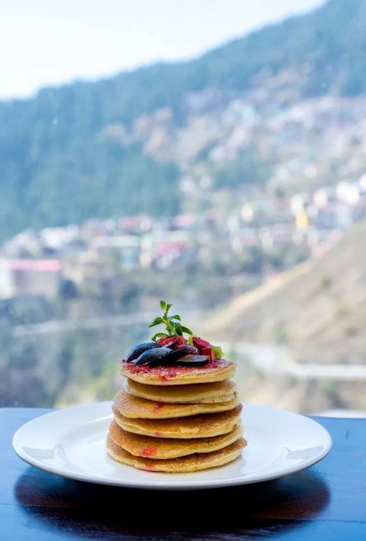 The Orchid Shimla