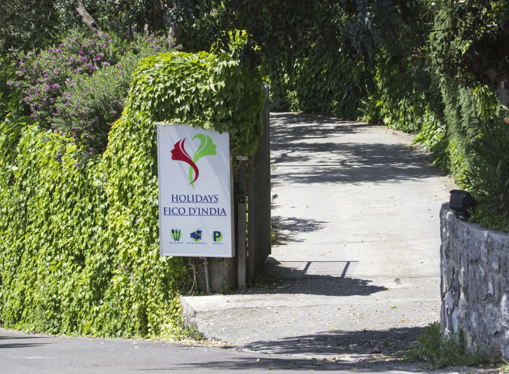 Fico DIndia Relais