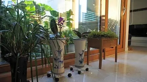 Green guest house