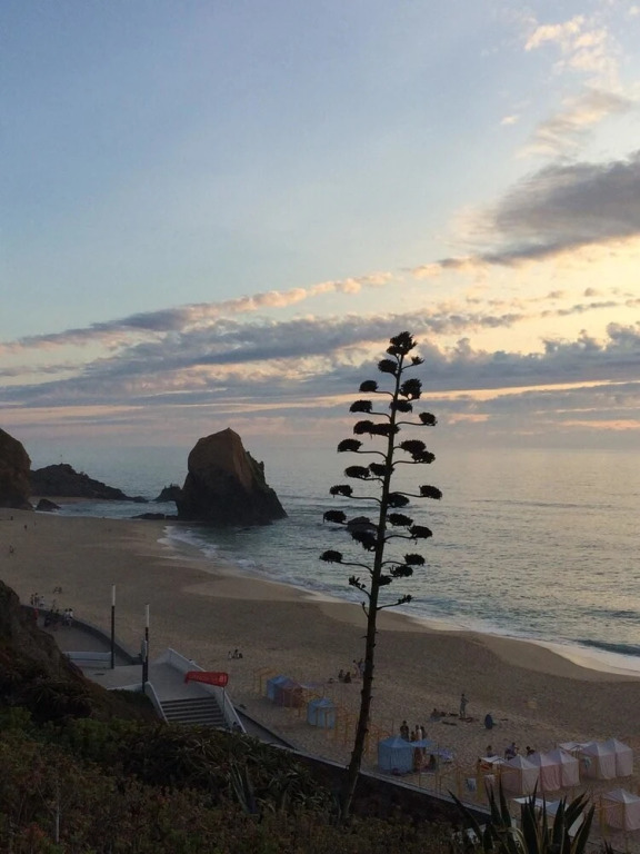 Apartment With 3 Bedrooms in A dos Cunhados, With Wonderful sea View,
