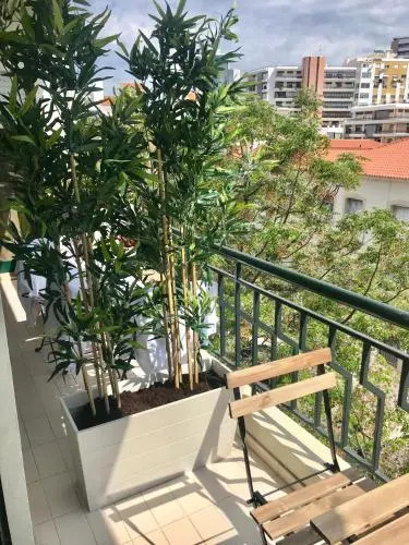 Alameda Garden
