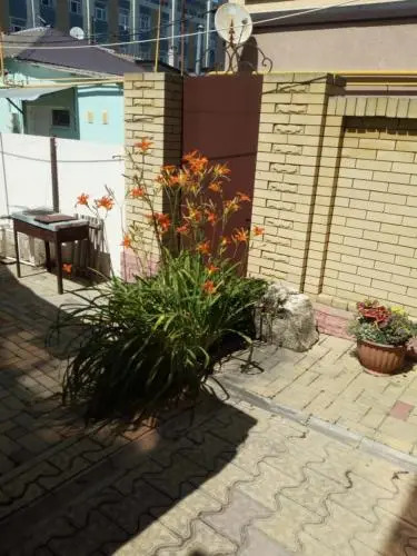 Tatyana Guest House