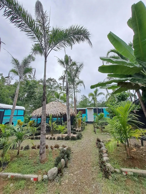 BusHotel Puerto Viejo