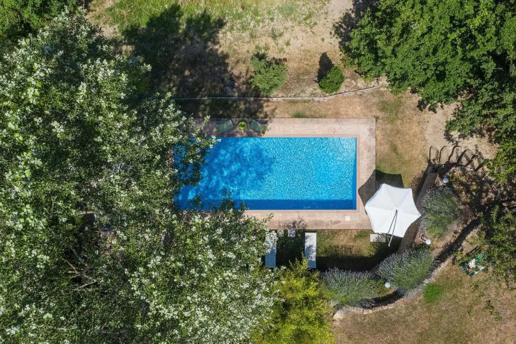 Casa Verde