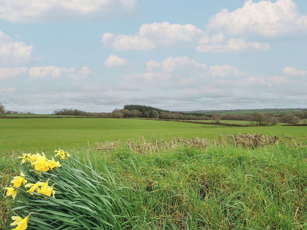 Little Blagdon