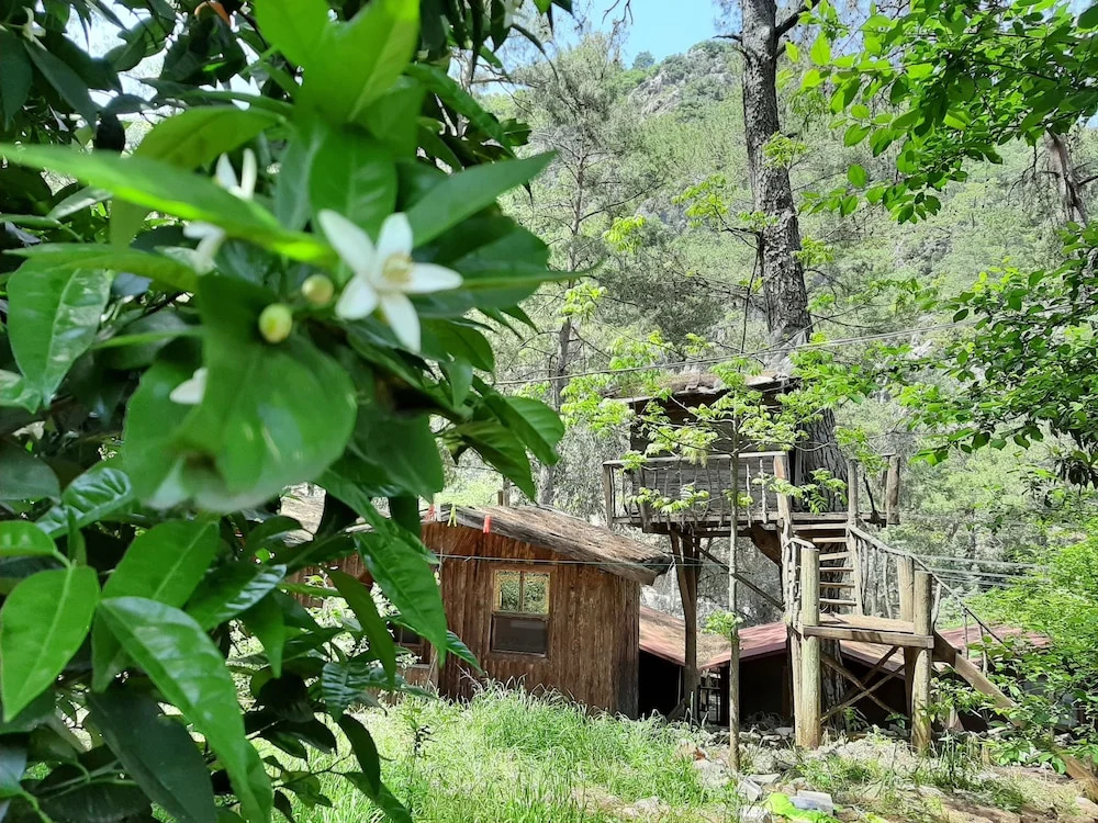 Altaris Bungalows Olympos