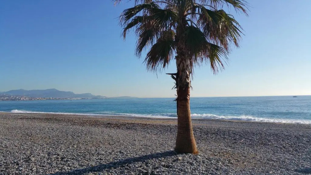 Résidence Cap Azur Appartement 228