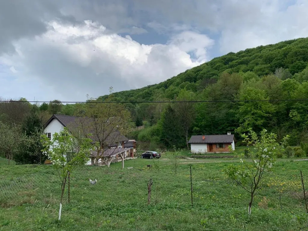 Holiday home Usadba Novoselitsa
