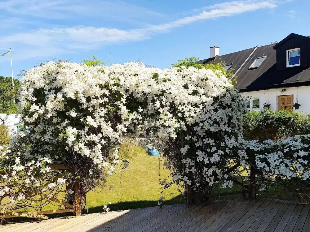 4 Star Holiday Home in Smygehamn
