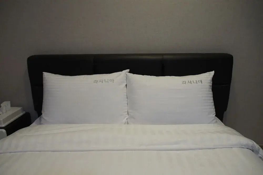巨济拉萨尼亚酒店(Lasania Hotel Geoje)