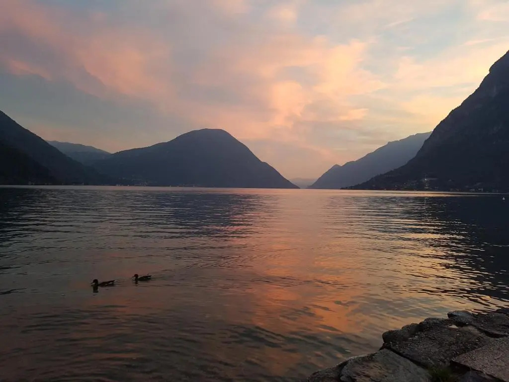 Lugano 14A