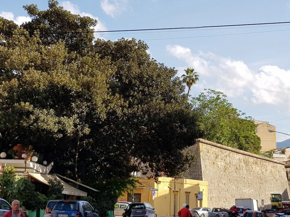 Porta Guccia