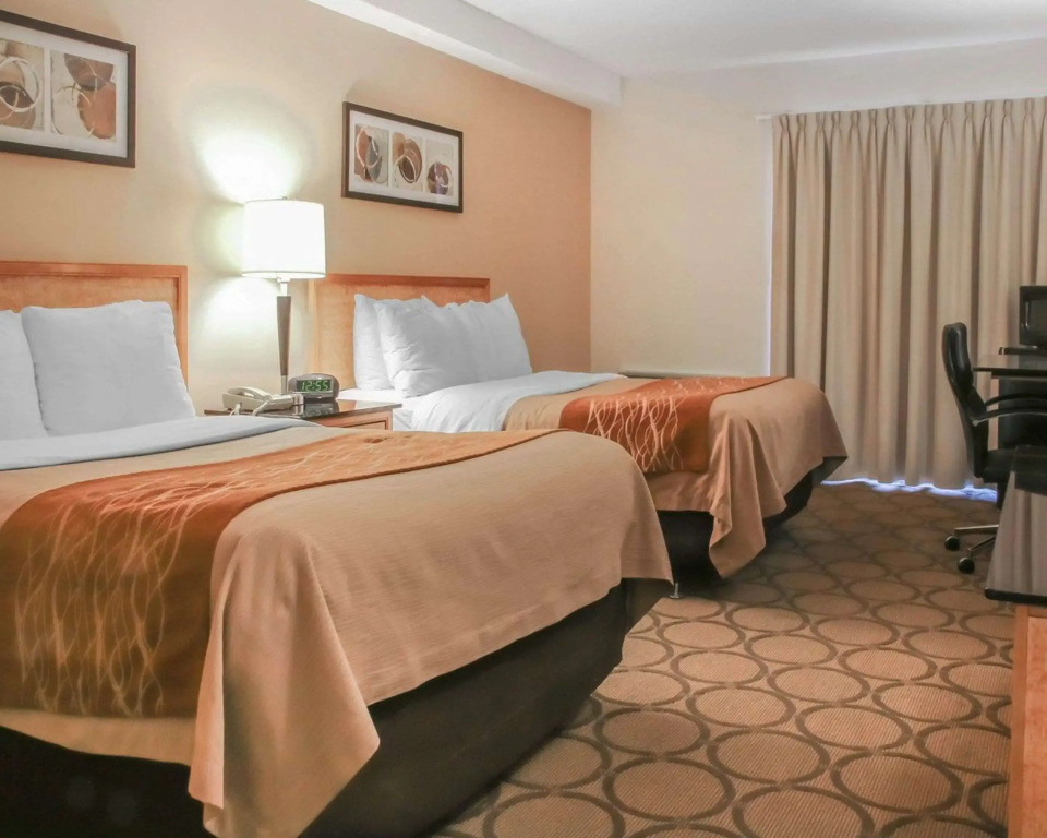 Comfort Inn South