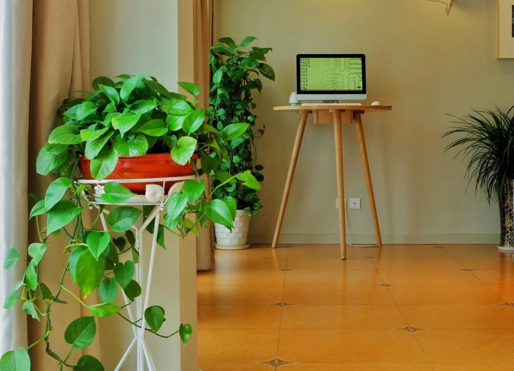 Hangzhou Home Inn - Tianmushan Road