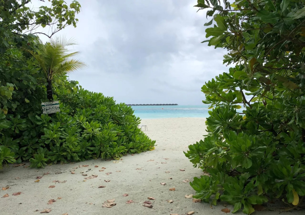Dhiffushi Tourist Hotel
