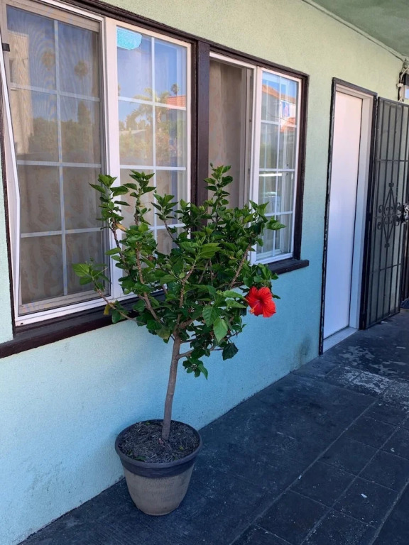 Crestridge Inn Near LAX, SoFi Stadium & Intuit Dome