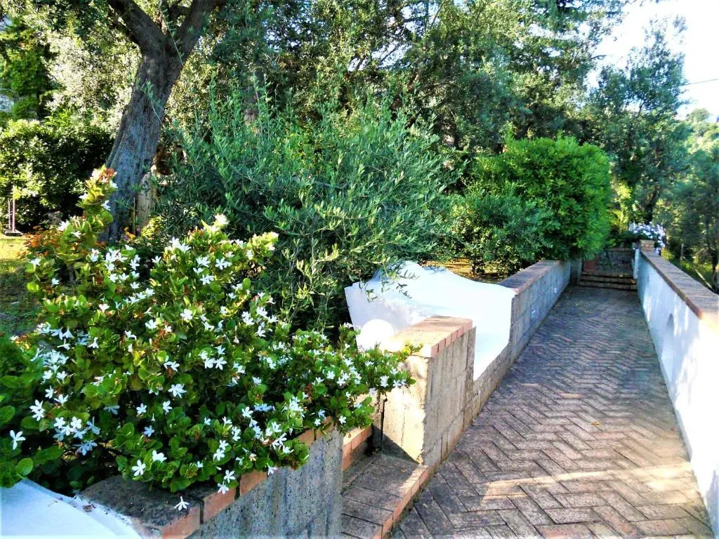 villa le olivine