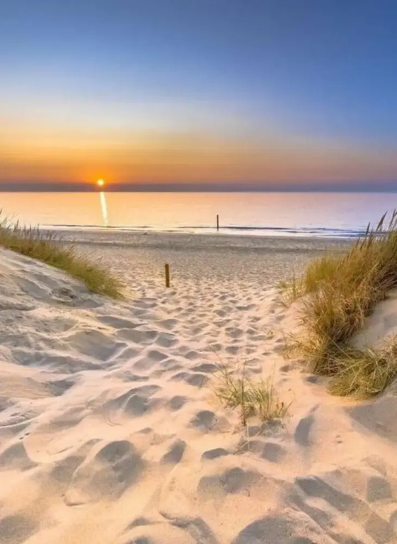 Huis Duinzicht Comfortable Holiday Residence